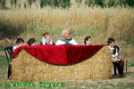 ampliar